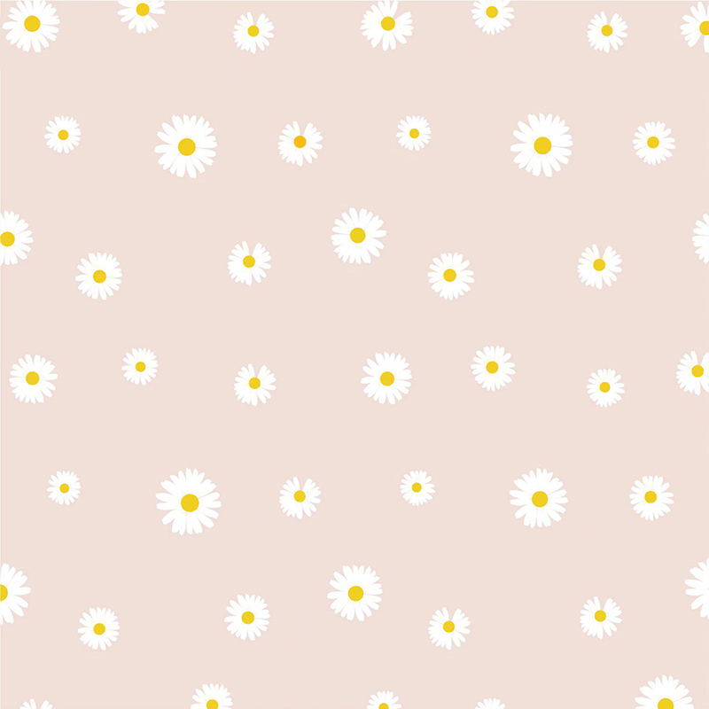 MYHC-18 Papir za zamatanje cvijeća Fresh Little Daisy Pearl Film