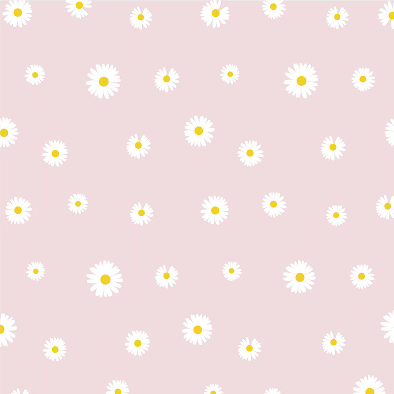 MYHC-18 Papir za zamatanje cvijeća Fresh Little Daisy Pearl Film