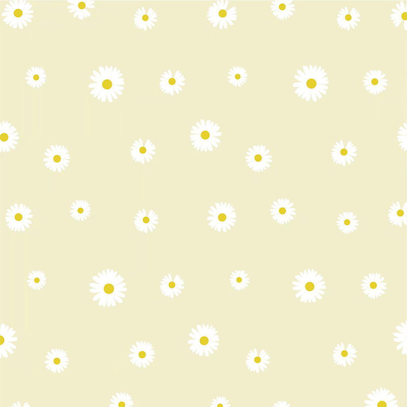 MYHC-18 Papir za zamatanje cvijeća Fresh Little Daisy Pearl Film